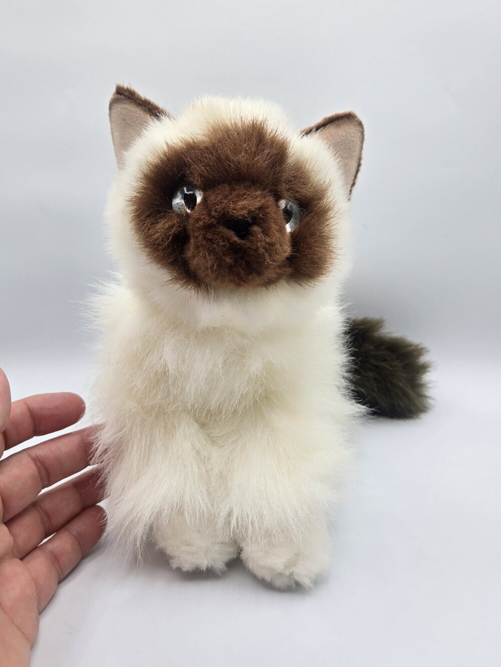Aurora Himalayan Kitten   Plush Stuffed Animal